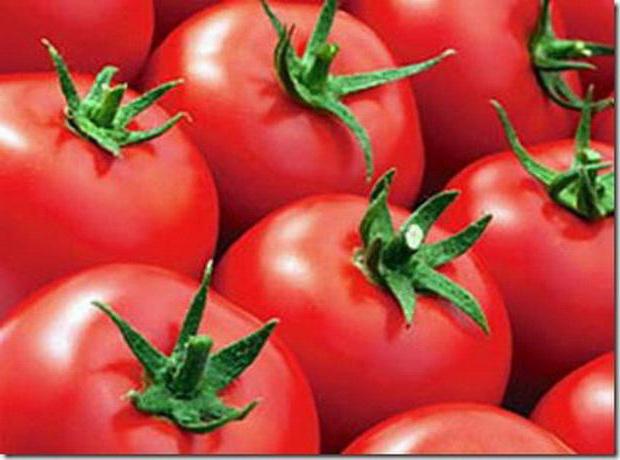 Evpator - ντομάτα για καλλιέργεια θερμοκηπίου