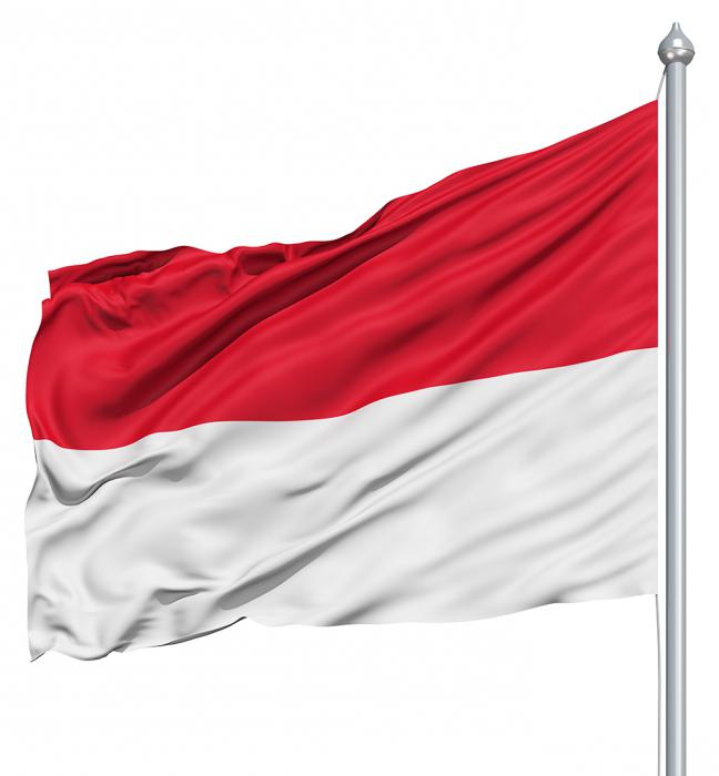 Σημαία της Ινδονησίας: είδος, έννοια, ιστορία